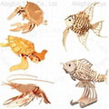 3d wooden puzzle aquatic animal construction model kit