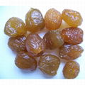 Bulk Honey Date(jujube)