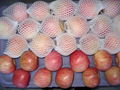 Red Fuji Apples 1