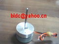 dc motor 2-4W