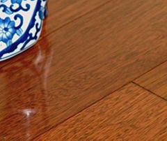 solid and engineered Merbau floor