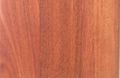 3 ply 3 strips Australian Jarrah floor 1