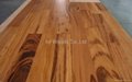 Solid and Engineered Tigerwood floor 2