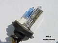 HID xenon bulb 1