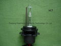 HID xenon bulb 3