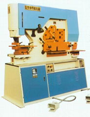 Punching & Shearing Machine