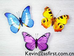 butterfly manufacturer & supplier