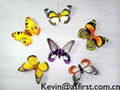 butterfly craft manufacturer & supplier 1
