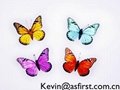 butterfly decoration manufacturer &