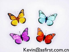 butterfly decoration manufacturer & supplier