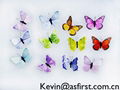 butterfly decor manufacturer & supplier