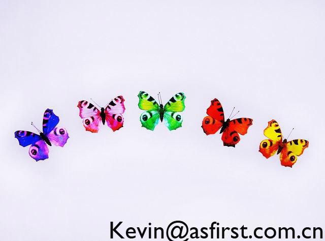 christmas butterfly supplier