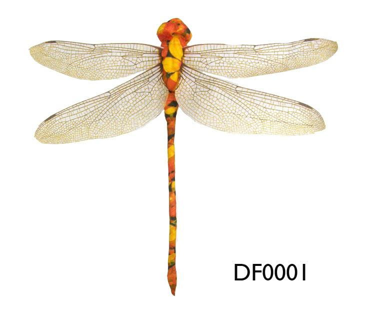 dragon fly