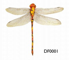 dragon fly