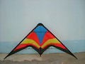 Stunt kite 1