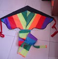 rainbow kite with long tails