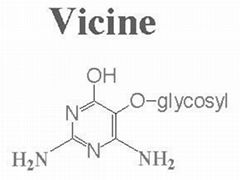 Reduced Glutathione