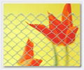 Chain link fencing 1