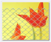 Chain link fencing