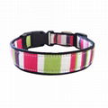 dog collar  fabric collar