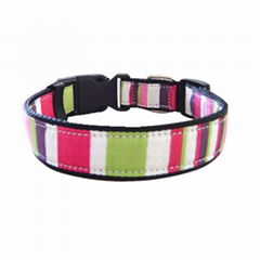 dog collar  fabric collar      