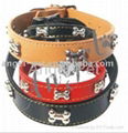 Leather Dog Collar                            1