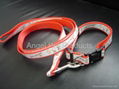 nylon collar leads                1