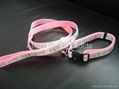 nylon collar leads                2