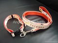 nylon collar leads                4