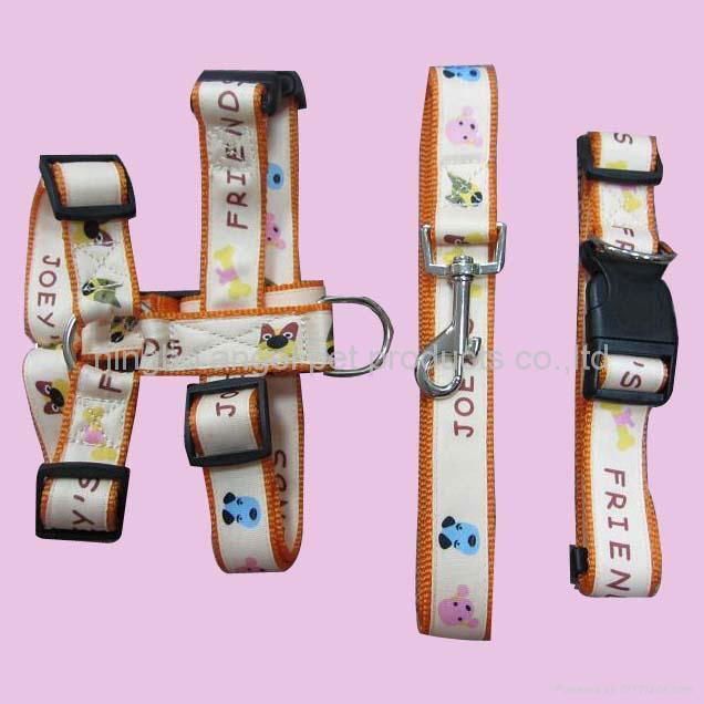PET COLLAR AND LEASH                  