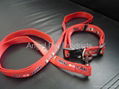 PET COLLAR AND LEASH                   2