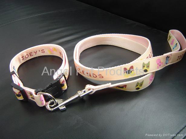 PET COLLAR AND LEASH                   3
