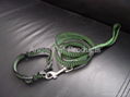 pet collar and leash