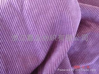 cotton NAP fanbric 2