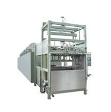 Egg Tray/Fruit Tray Line 