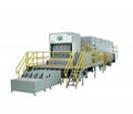 Egg Tray/Fruit Tray Line  3