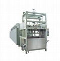 Egg Tray/Fruit Tray Line  5