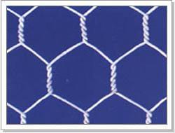 Hexagonal wire mesh   2