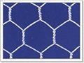 Hexagonal wire mesh   2