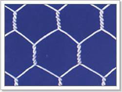 Hexagonal wire mesh   4