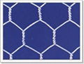 Hexagonal wire mesh   4