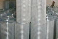 Welded wire mesh  