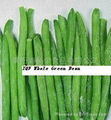 Frozen Green Beans Cut and Frozen Green Beans  5