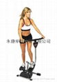 Cardio Twister Stepper 2