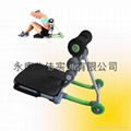 Cardio Twister Stepper 4