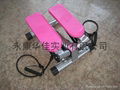 Stepper/Mini Stepper/Twist stepper 2