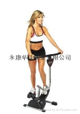 Cardio Twister stepper  2