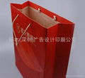 Catalogs packaging handbag design printed 1