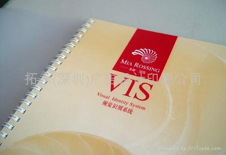 Logo VI manual design and planning 4