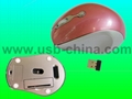 fashion 2.4Ghz  RF digital wireless mouse/cordless mice( mini receiver) 1